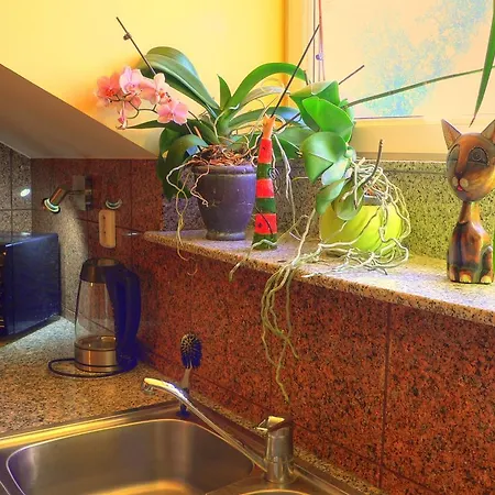 게스트하우스 Privat Baja *