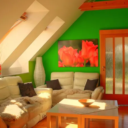 Privat Baja Guest house *