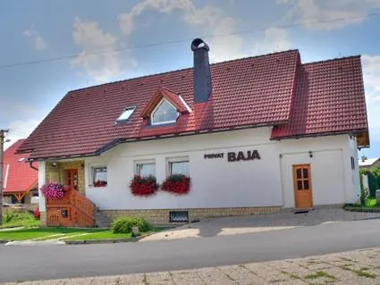 Guest house Privat Baja